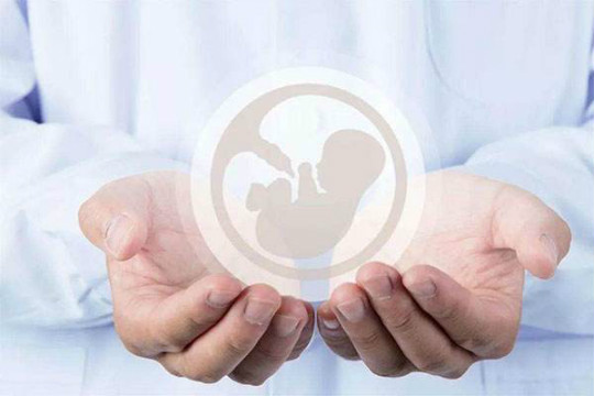 CMC博鳌试管婴儿能解决男性精子问题吗？