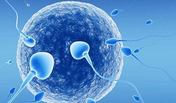 长沙50岁试管婴儿价格_试管婴儿前的精子检测要注意什么染色体缺失会有影响吗？