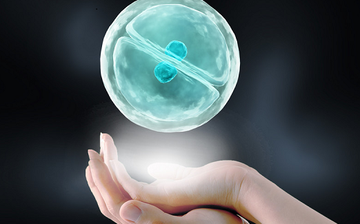 长沙40岁供卵费用:囊胚移植的优势是什么？