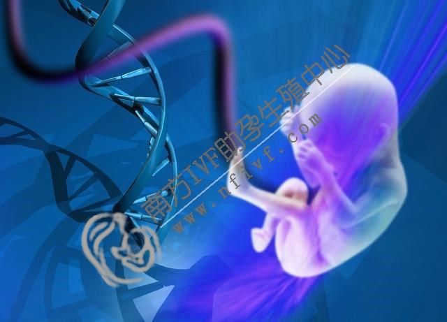 长沙双胞胎供卵_为什么医生建议在试管婴儿治疗前服用DHEADHEA？