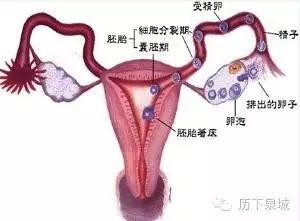 中医治疗输卵管不通引起的不孕症简介