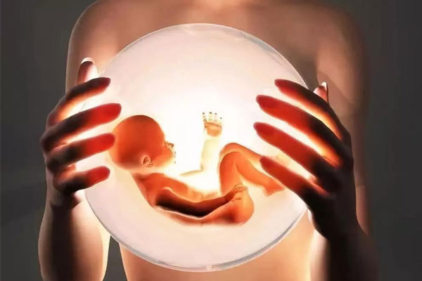 试管婴儿建档前做哪些检查：胎儿的心跳