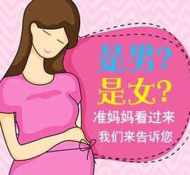 香港合法助孕生小孩：孩子出生后，什么样的书适合在香港建立亲子关系？