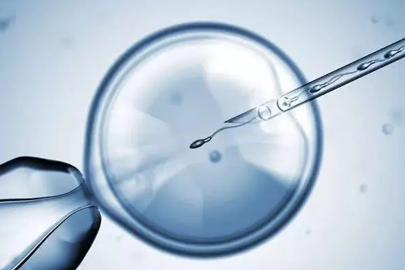 芜湖那家中介能做借腹生子：芜湖市弋矶山医院供卵试管婴儿的参考价格，2023年怀孕支持费用规划指南。