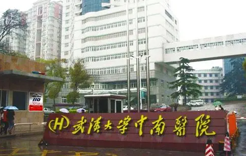 武汉47岁助孕龙凤胎：武汉大学中南医院试管婴儿双胞胎费用明细构成（可保证试管婴儿双胞胎）。