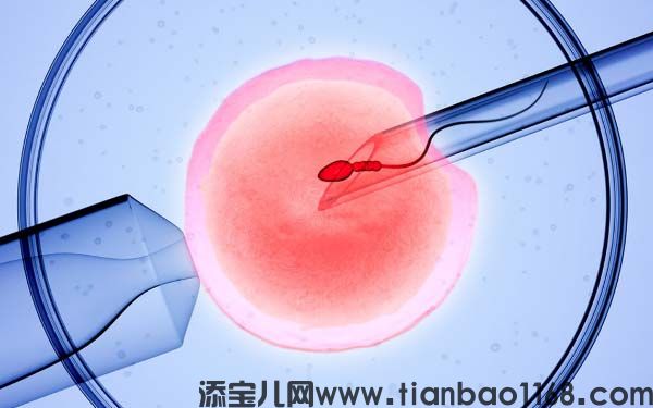 淄博助孕龙凤胎信息：体外冷冻胚胎移植的费用是多少？