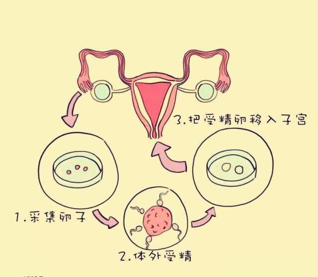 杭州49岁供卵：30岁时卵巢早衰的症状是什么？卵巢早衰的可能症状有哪些？