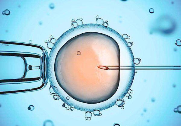 衡阳60岁供卵试管助孕：体外受精能成功吗？